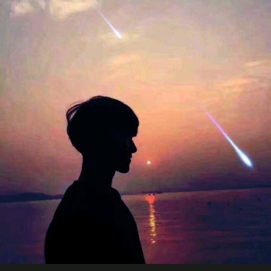 流星 （室内水培）