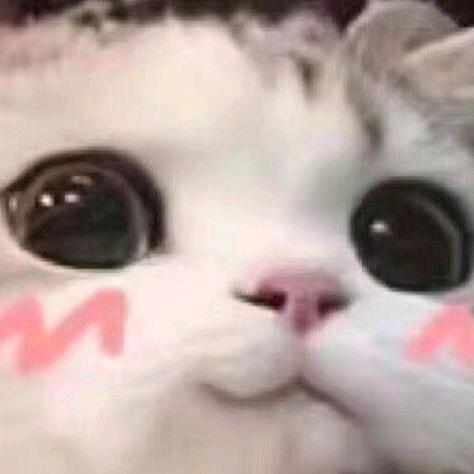 呼呼呼呼