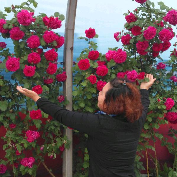 一生快乐。快乐一生