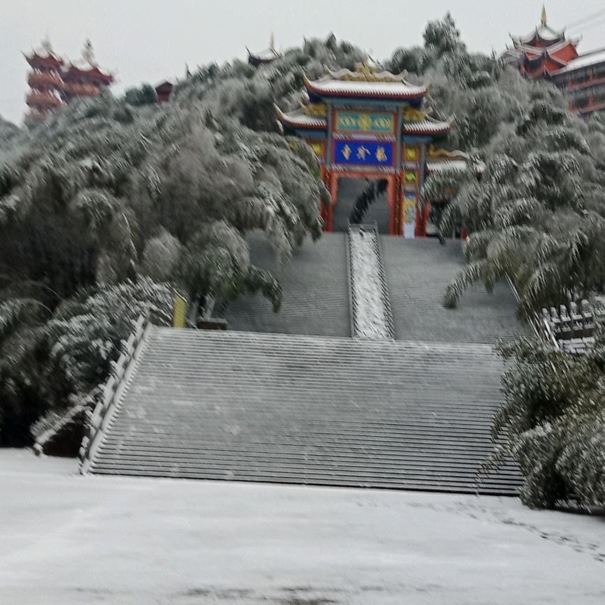 竹海翠天下，