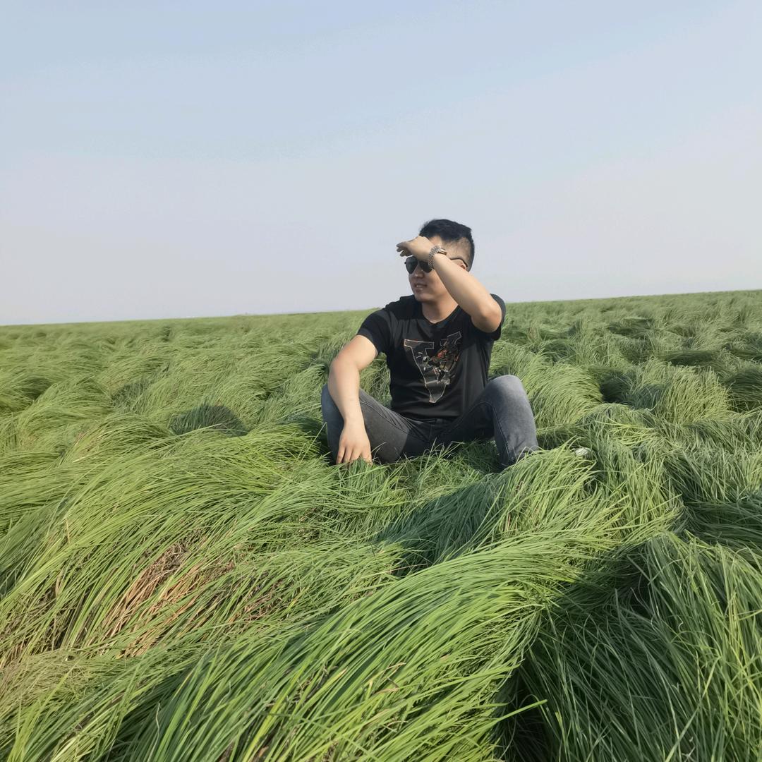 各类燃烧机及配件源头厂家-小徐