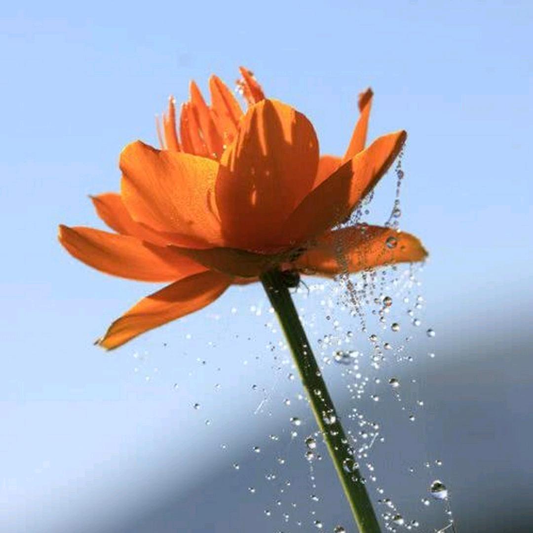 《寿康宝鉴》读诵团成员