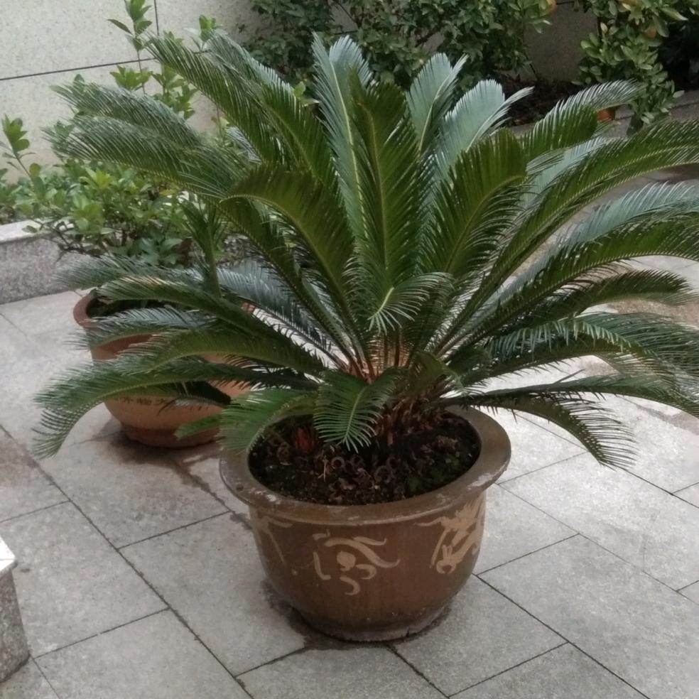 亿路由你