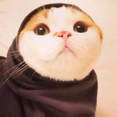 柒橘子