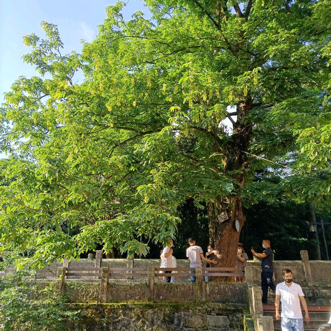 歙县汪金水特色土产生活坊