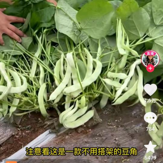我是陈晨
