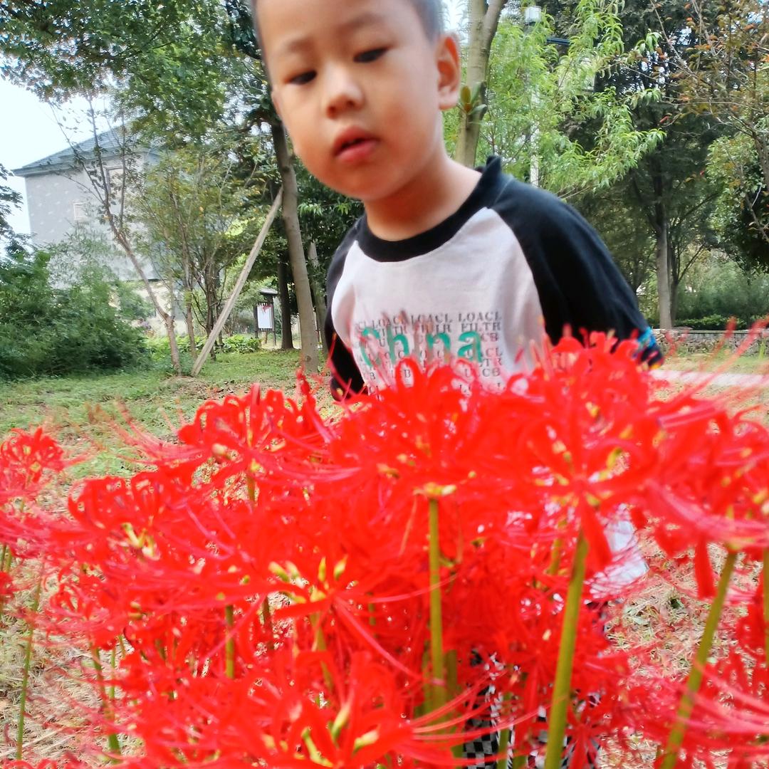 张苏梅