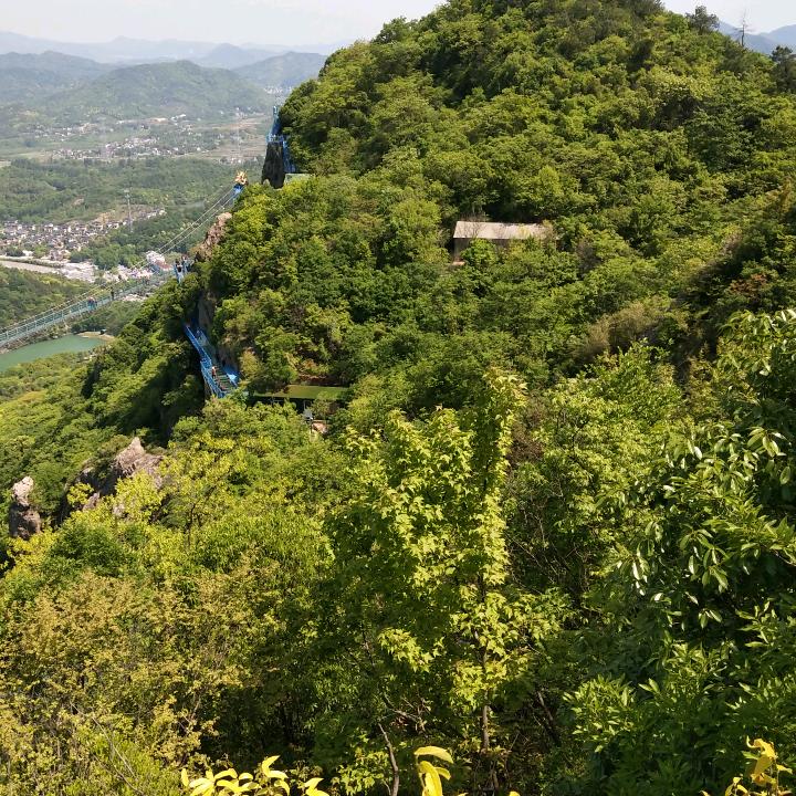 系哥