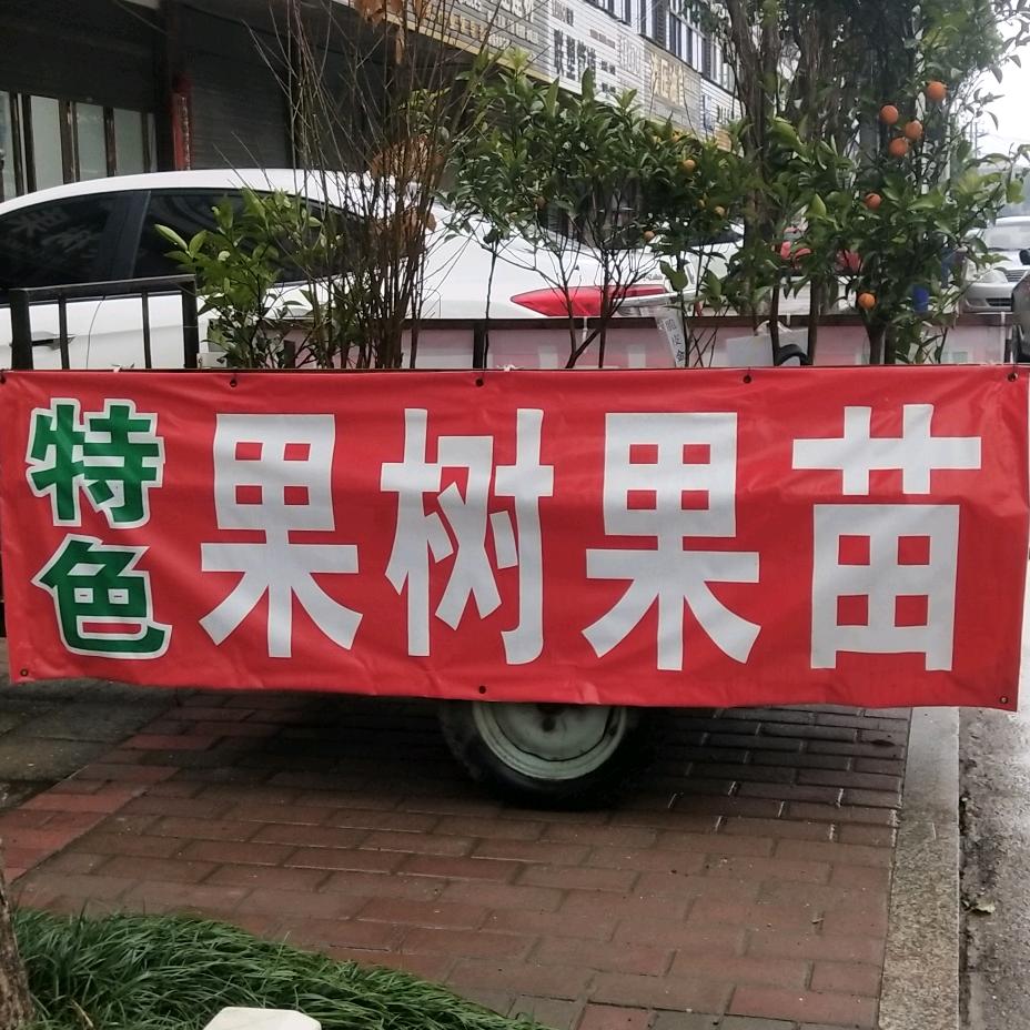 果树果苗荟旺基地