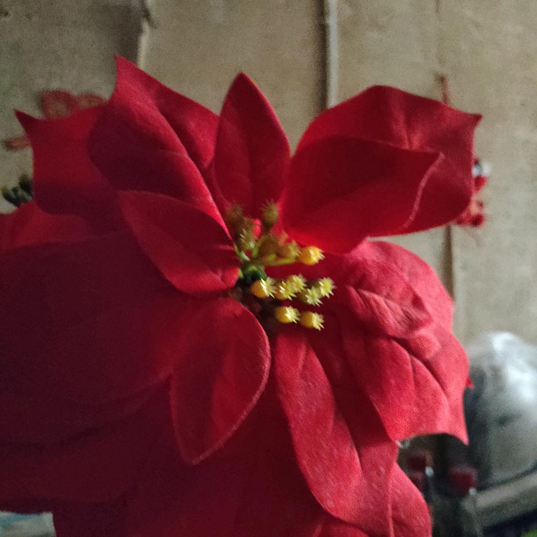 明天越来越美好