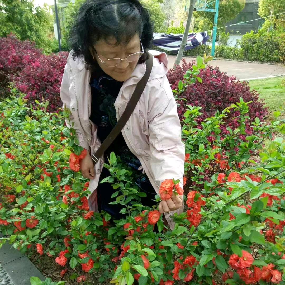白云美美