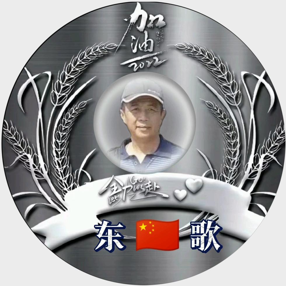 东 🇨🇳 歌