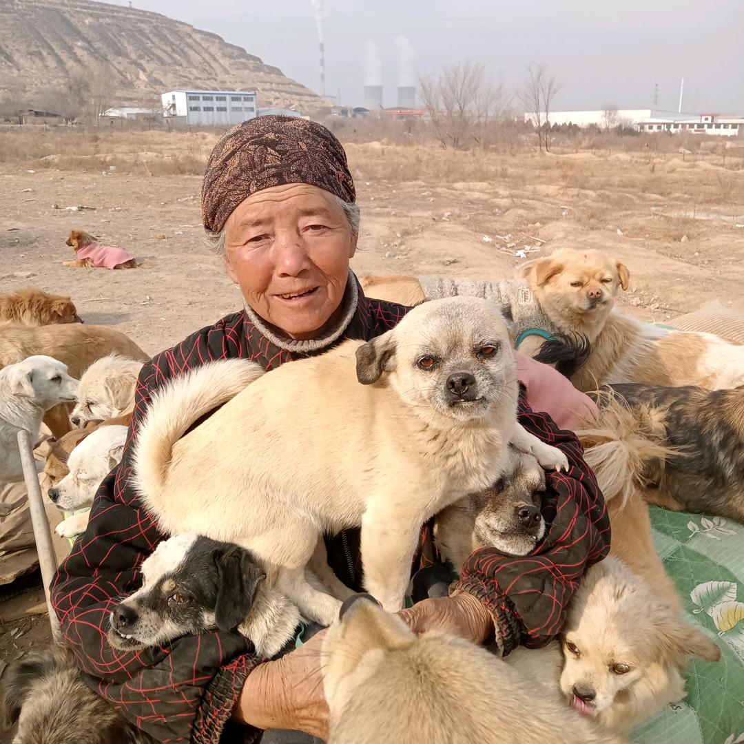 兰州马奶奶小院