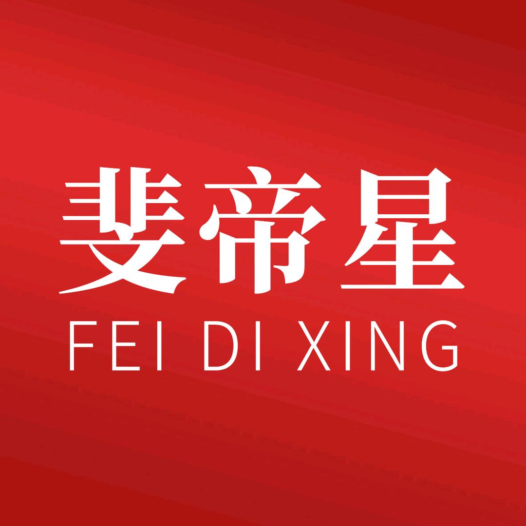 斐帝星磁业企业店