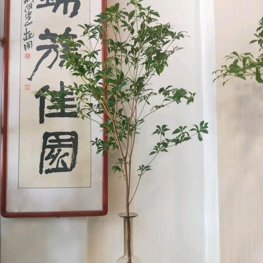 安丘市陌上花开花艺