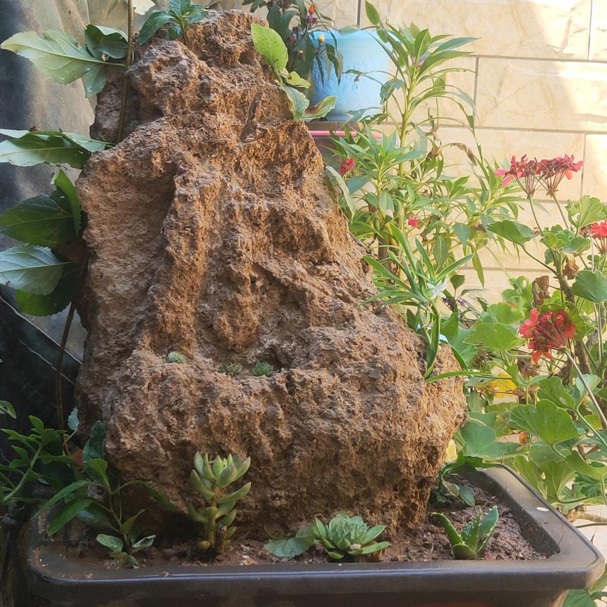 挥不去的思念