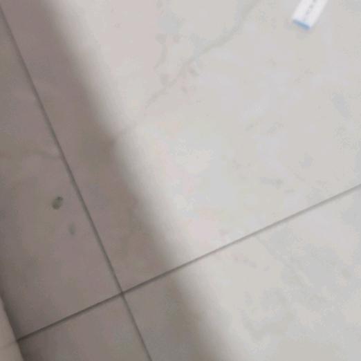 樱花🌸