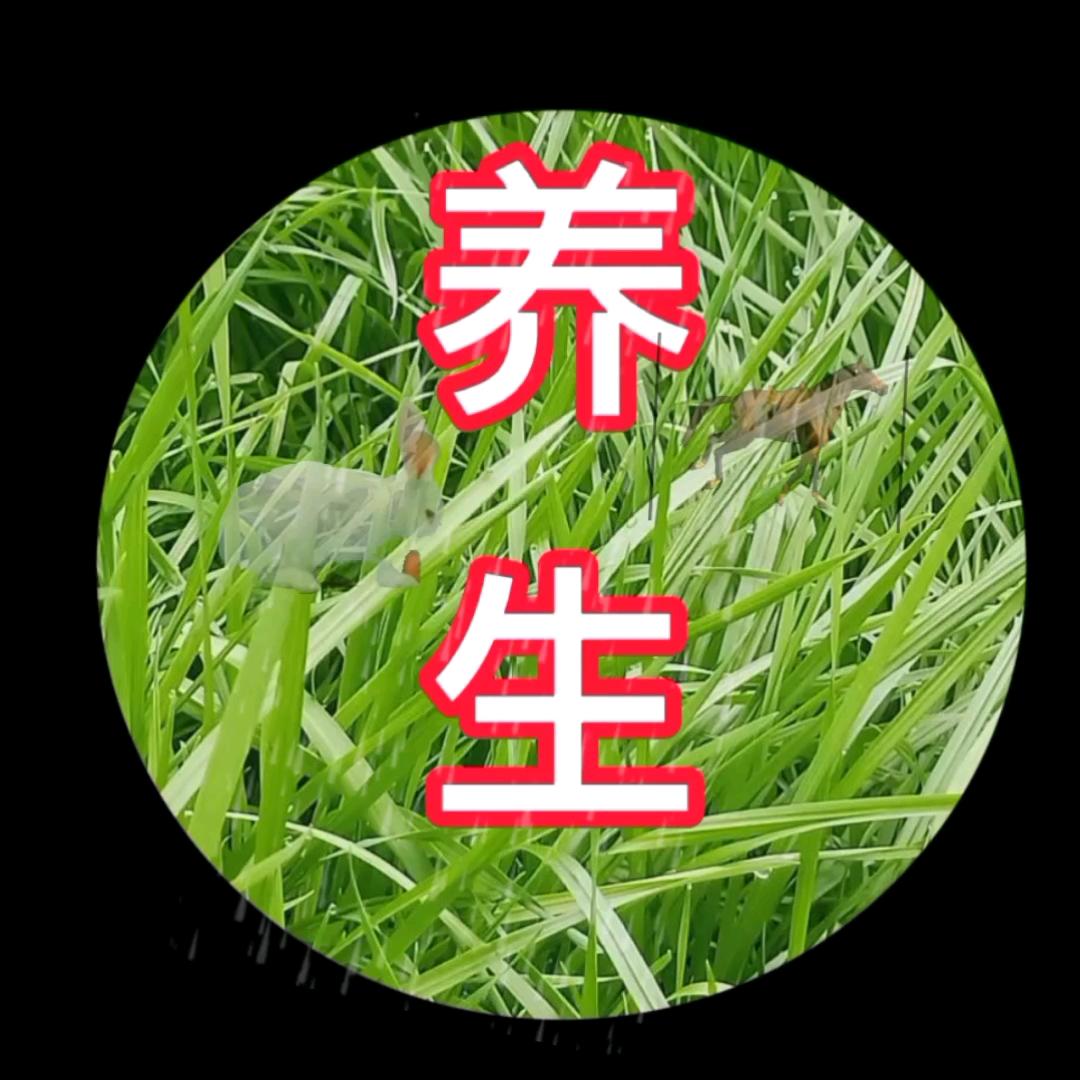 正值宋养生