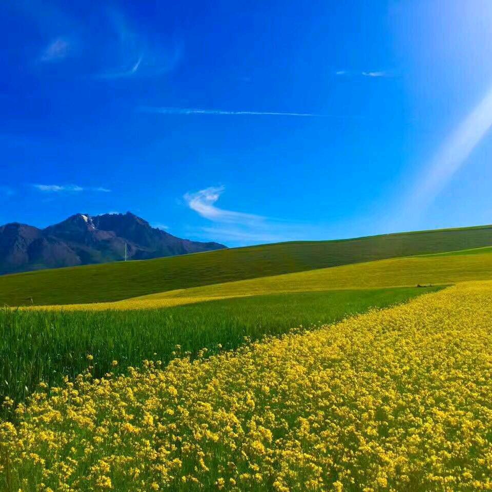 平安快乐🌸