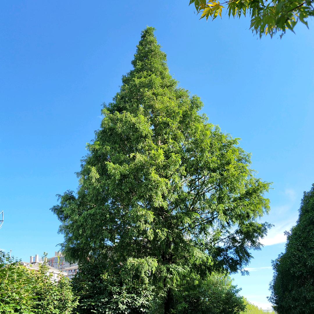 姚北♥春哥好物分享