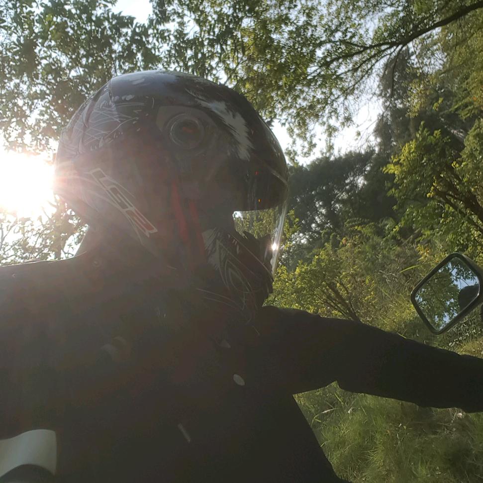 油猫饼的猫南北