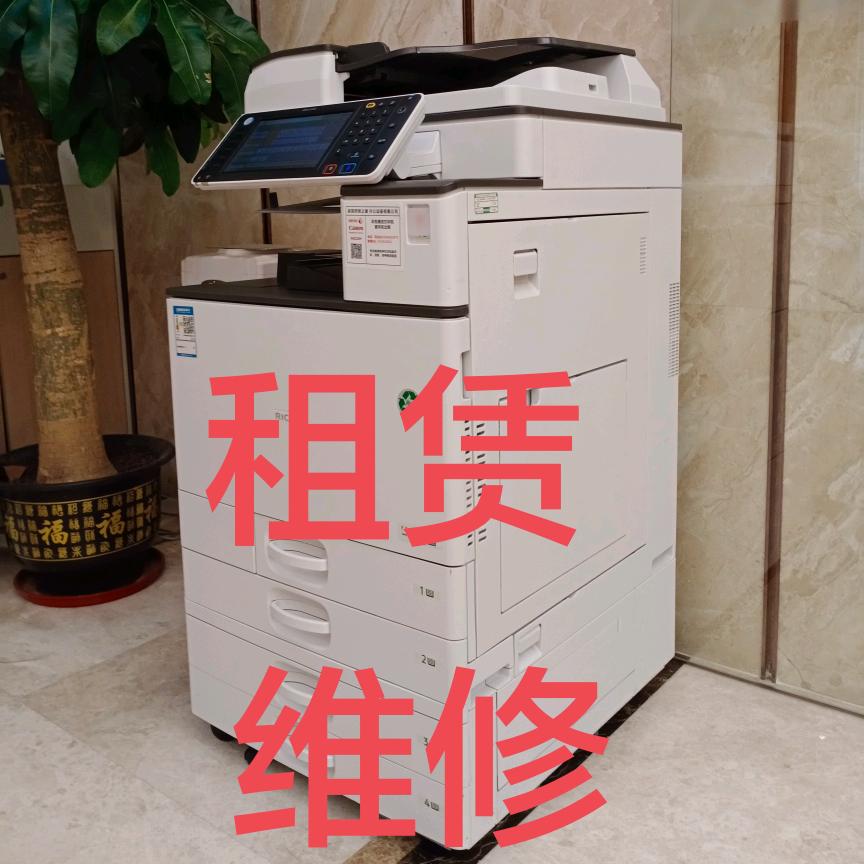 毛毛虫🐛