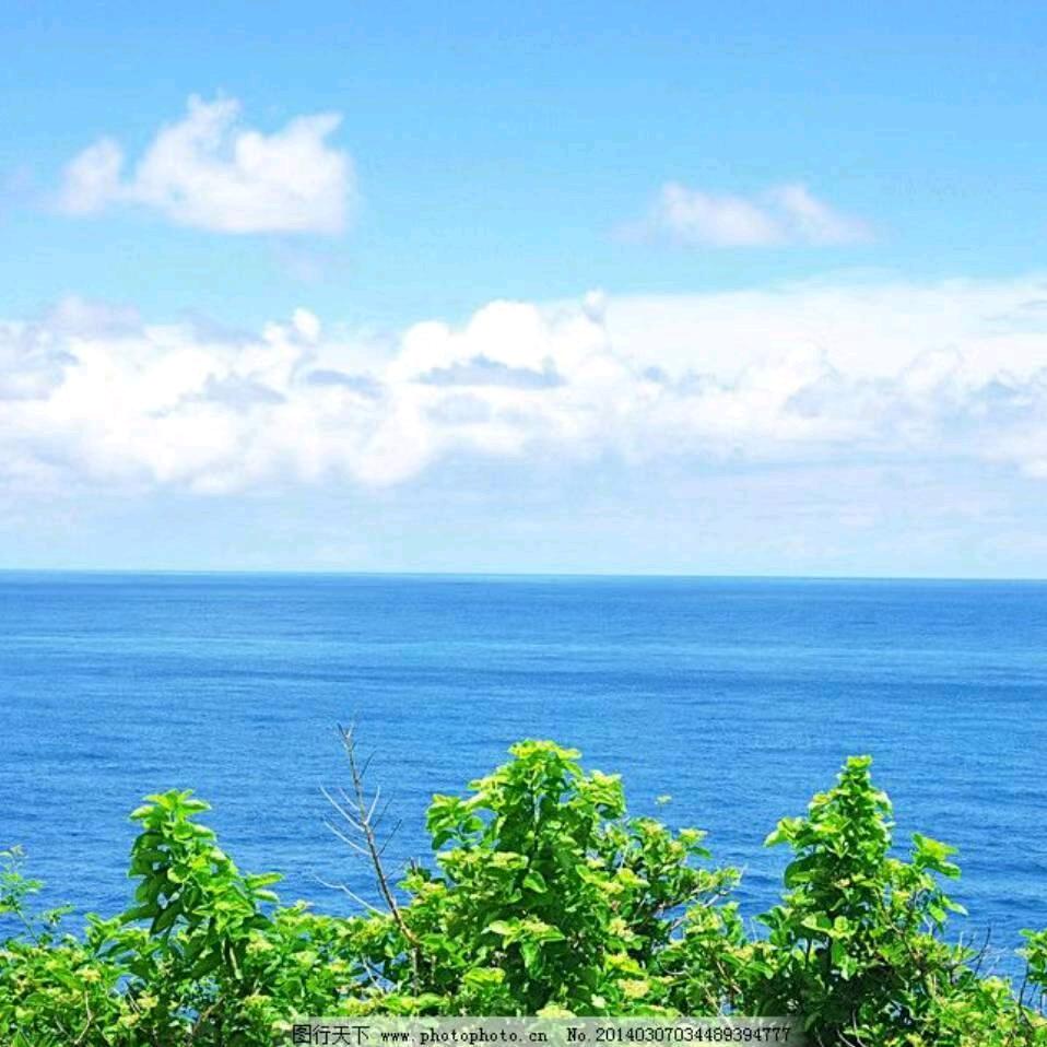 大海饼子