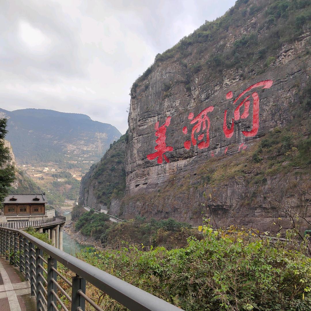 顺其自然