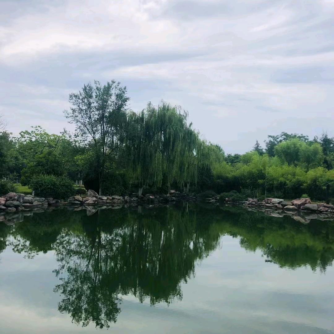 阳光