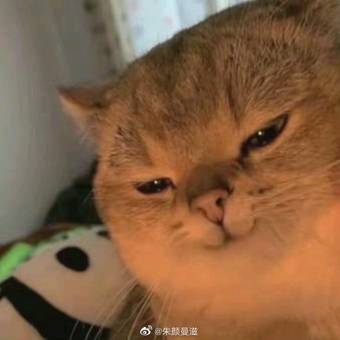 张大星星星