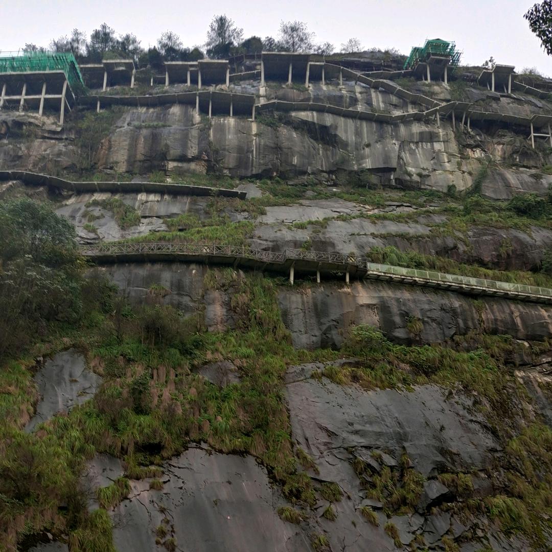 橙就美好未来😌