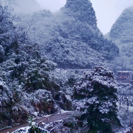 没心没肺的活着