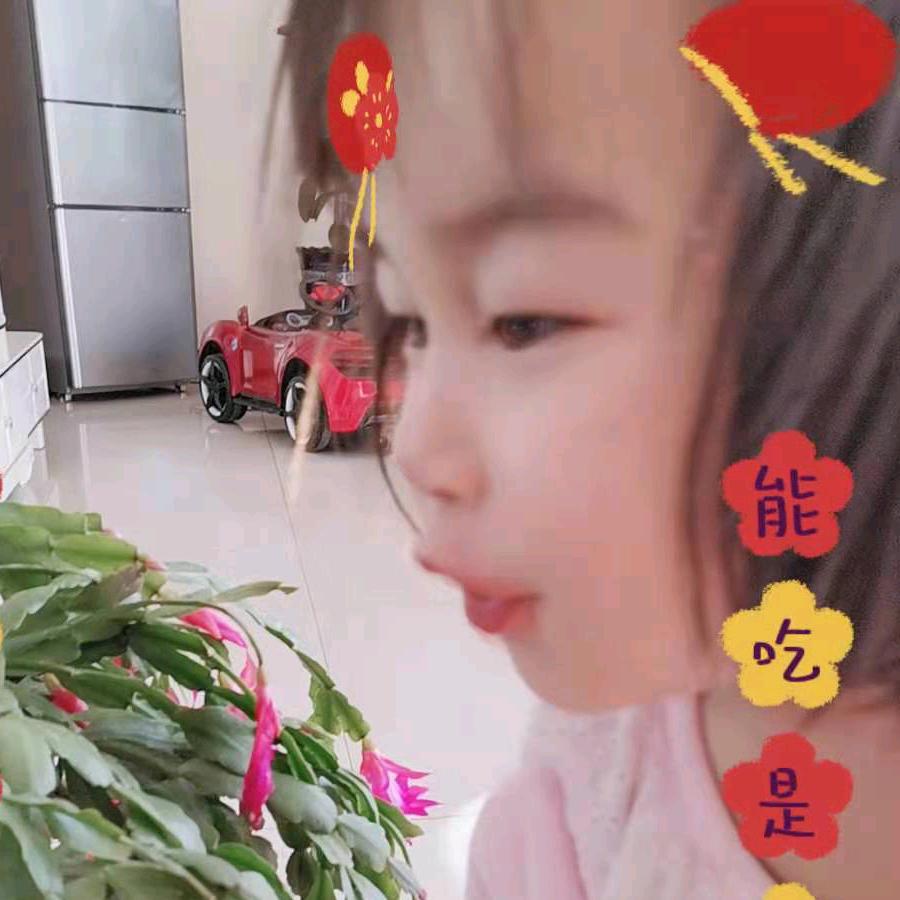 嗨