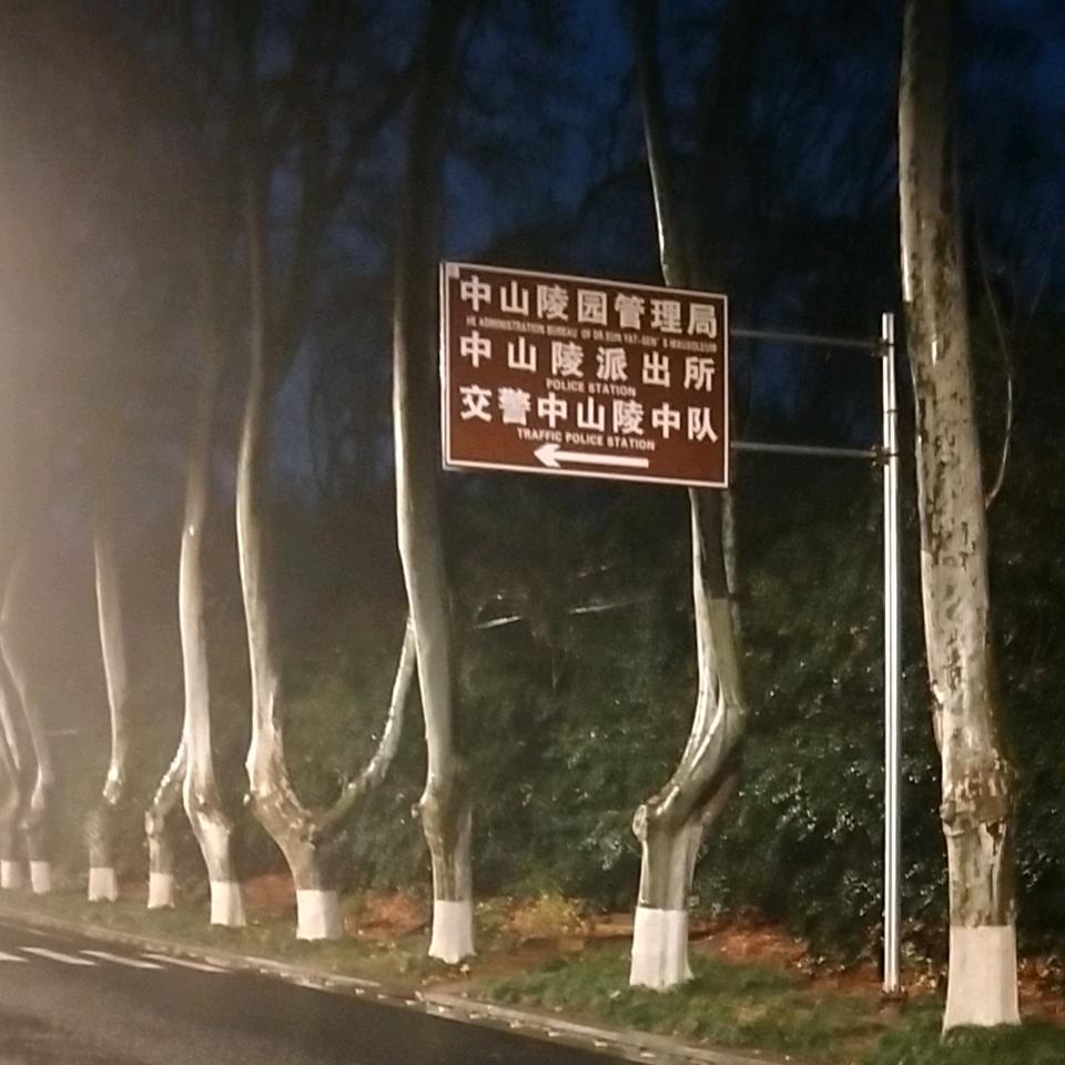 皖袁姐