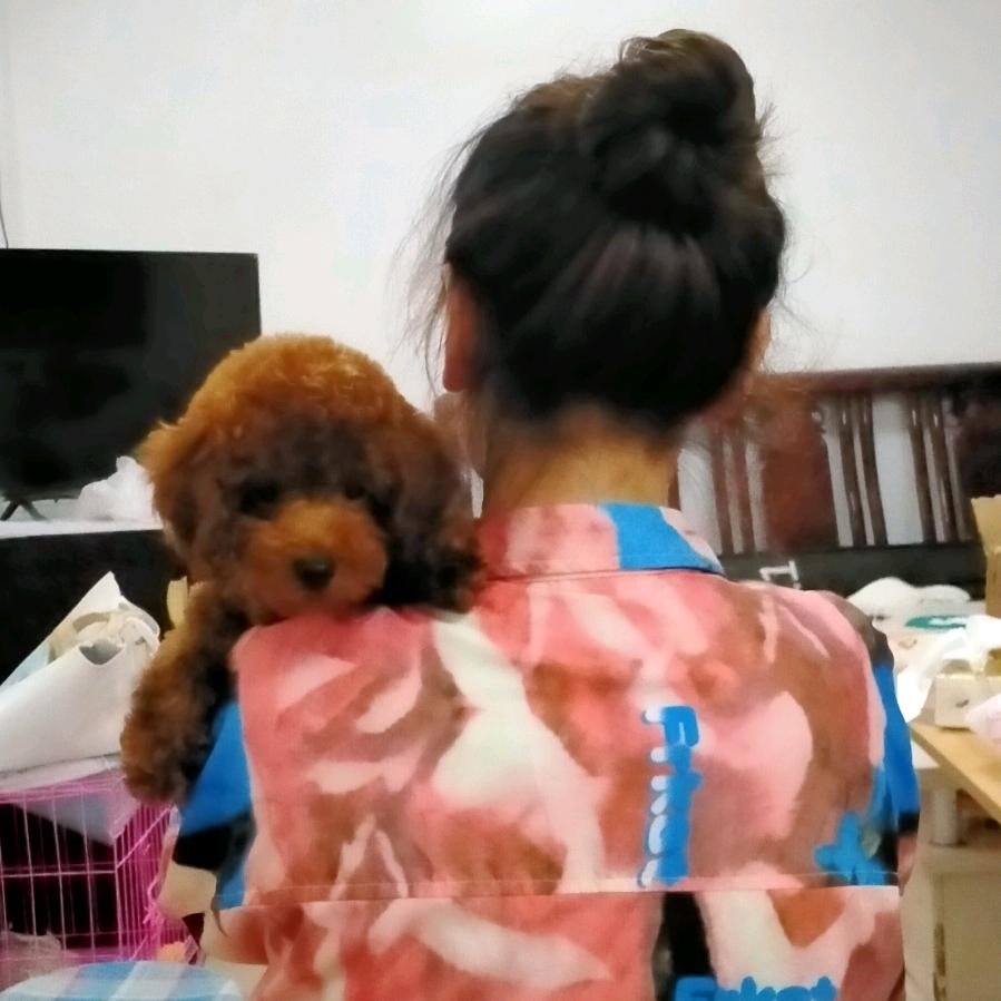 不过如此