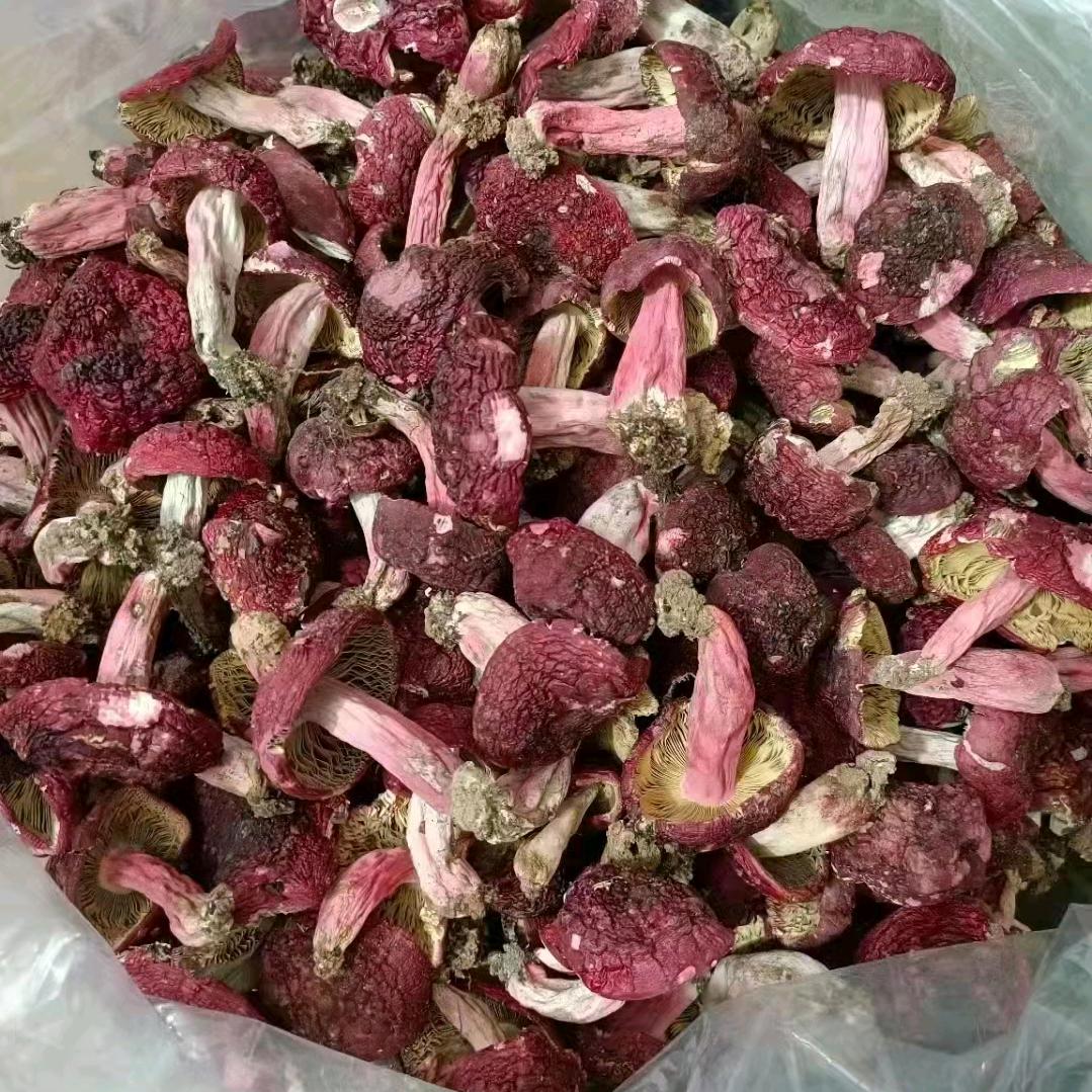陈小丽