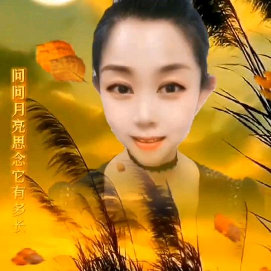 展翅高飞xa