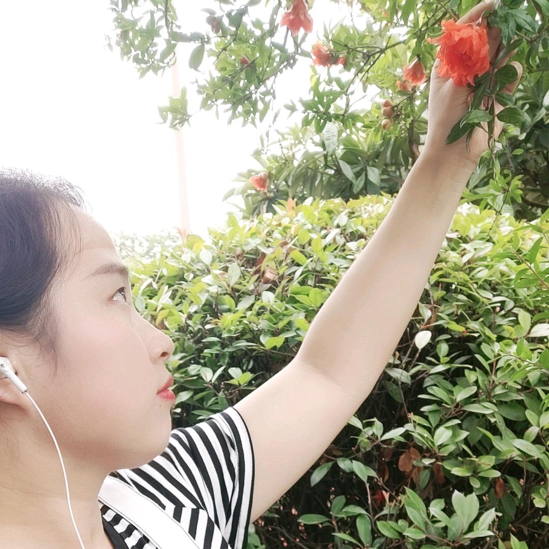 茶香姐姐