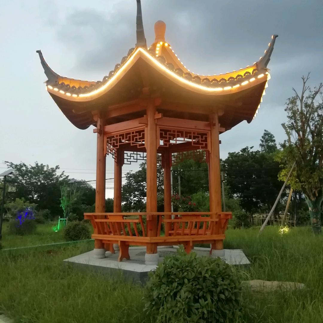 阳光下的我