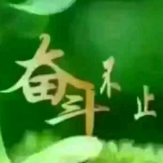 福缘新