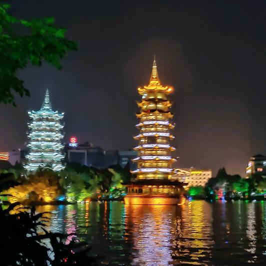 廿木禾