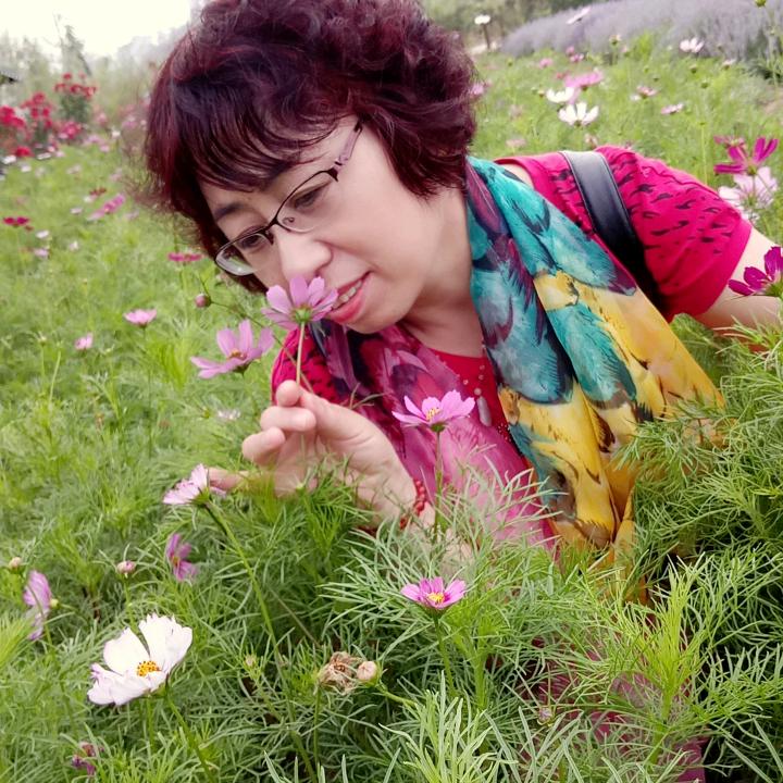冬梅