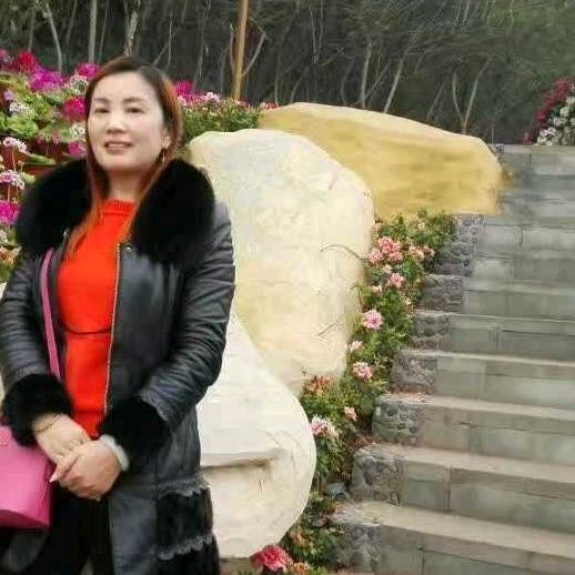 煮茶为你增添一梦