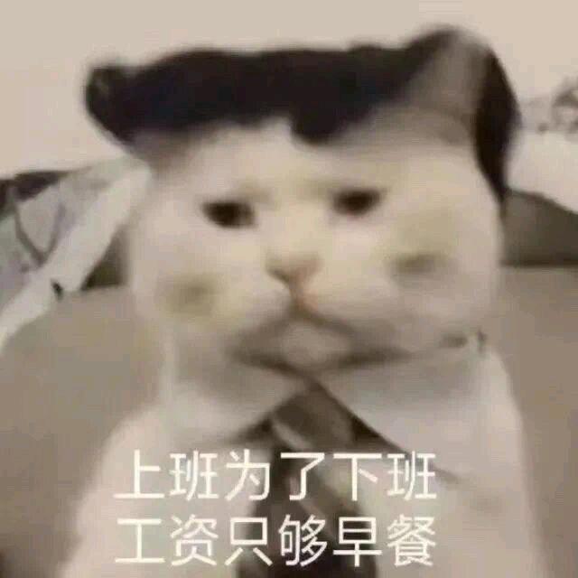 闹雷登头像