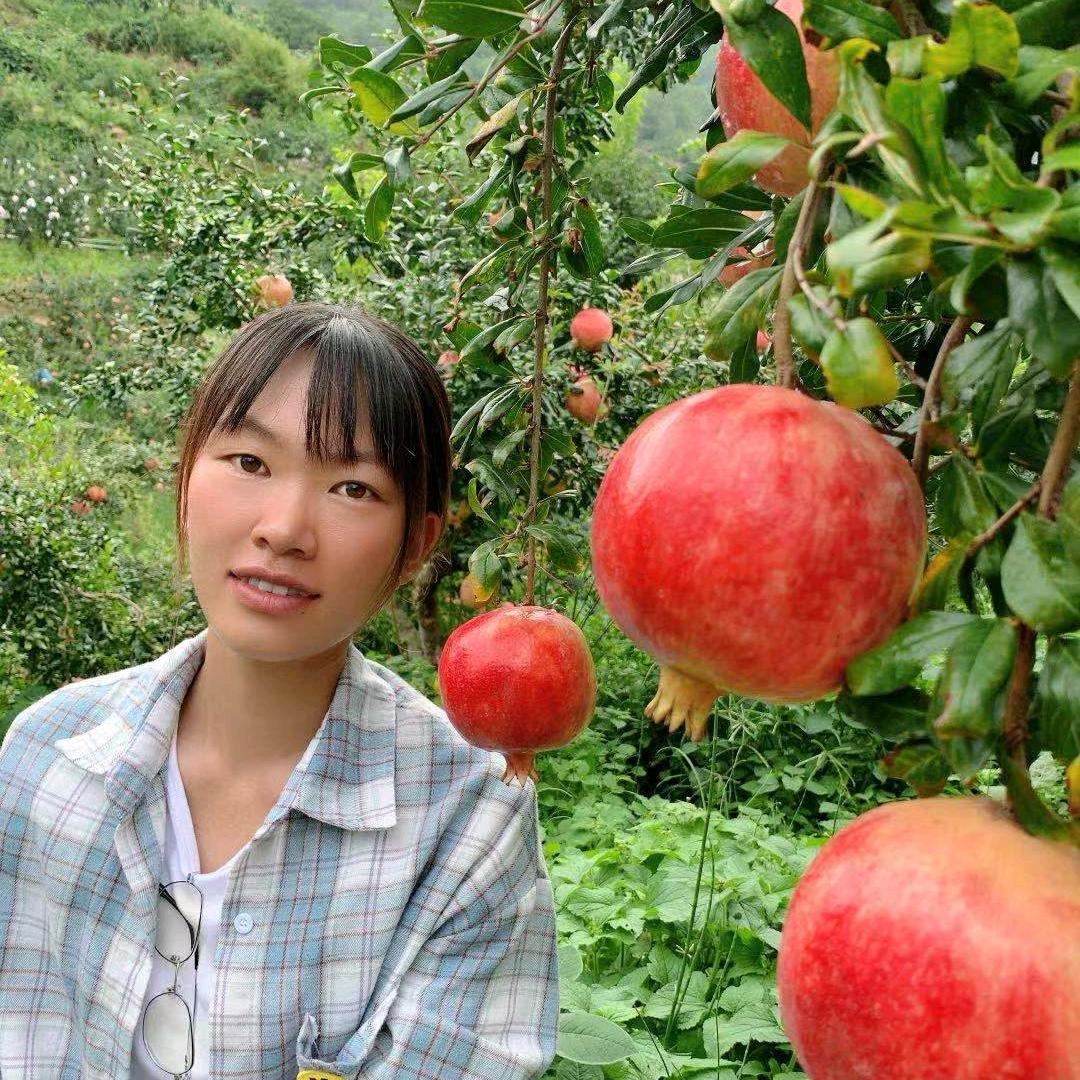 小米在农村