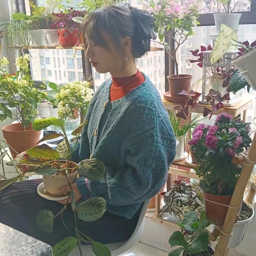 无尽夏(小裁缝)