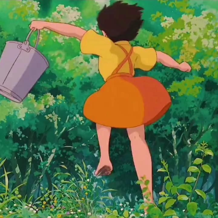 芜湖美芝