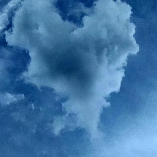 ( ´･･)ﾉ(._.`)