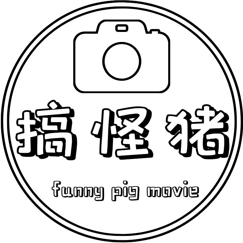 搞怪猪影视