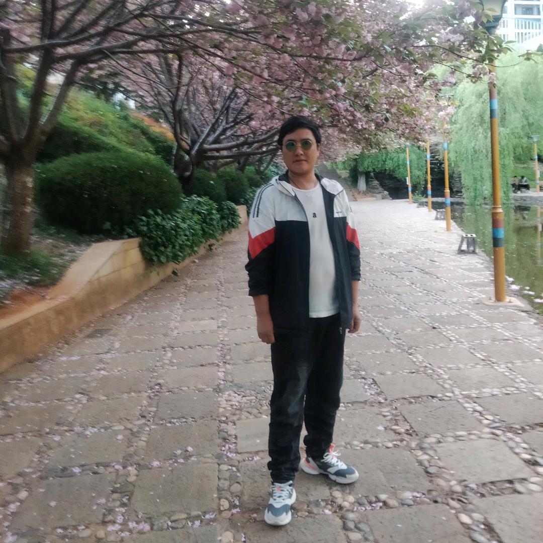 只为你倾心